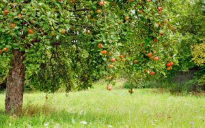 AdobeStock_7643289_Galerie