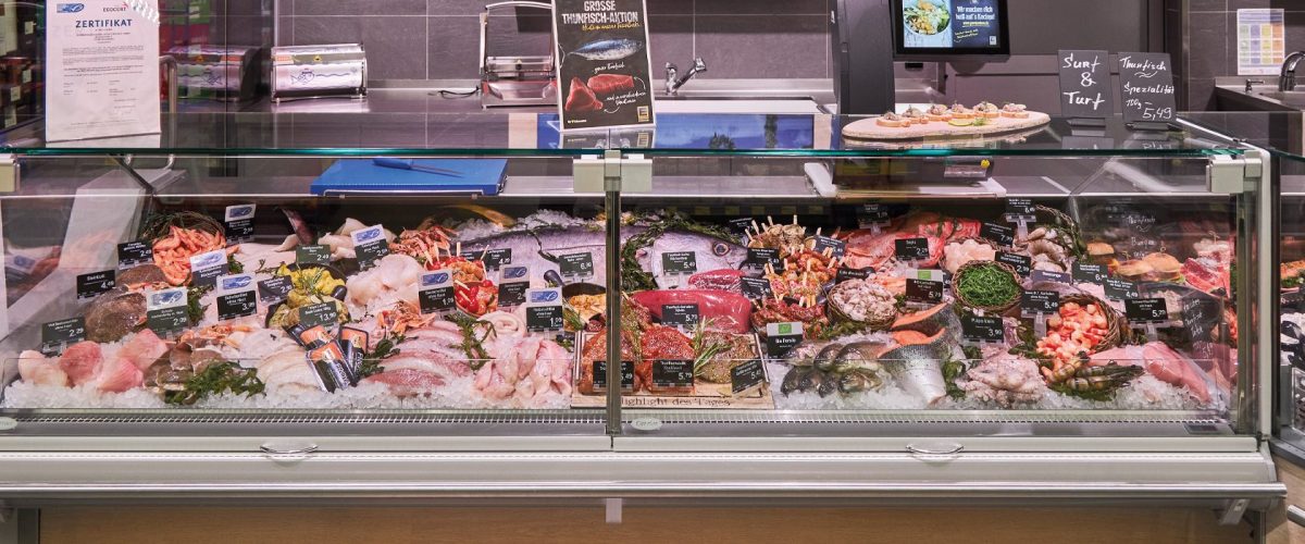 EC_WT-FischStar-22-027_Headerbild EC_WT-FischStar-22-027_Headerbild